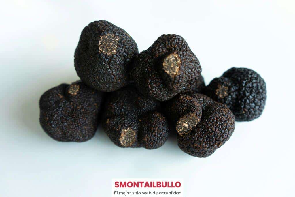 diferencias de las trufas y las setas alucinógenas