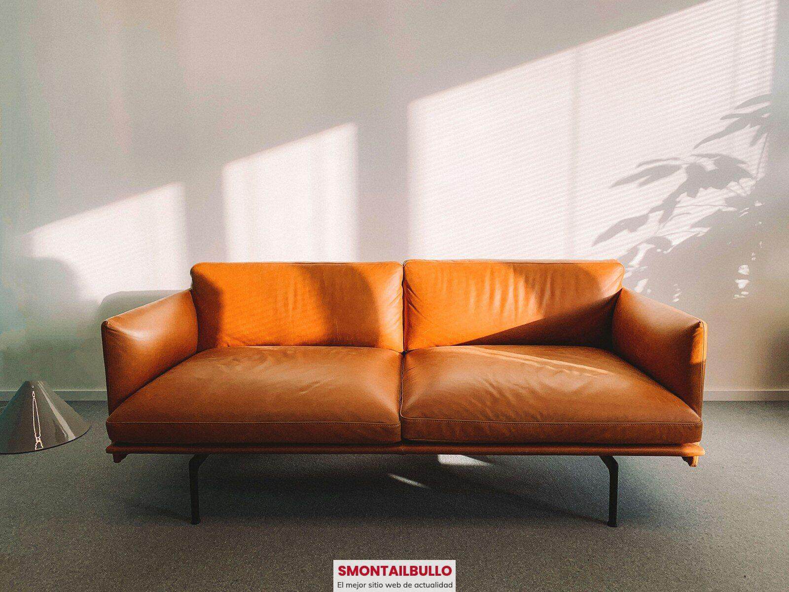 brown leather 2-seat sofa