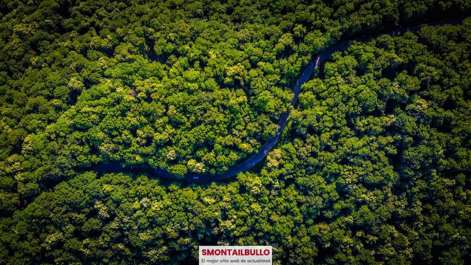 experiencias únicas para vivir en América Latina